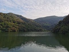 -黄埔油麻山森林公园