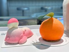 -TD66高山铁皮石斛养生茶饮