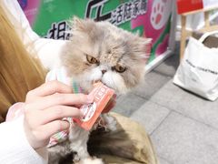 -上海第一八佰伴
