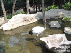 -燕塞湖鸟语林景区