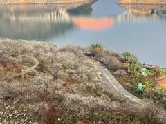 -广州市流溪河国家森林公园