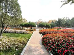 -石家庄市植物园