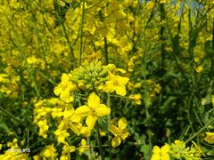 -浦星公路-路侧停车位