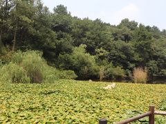 -天目湖山水园