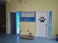-瑞鹏宠物医院·爱宠堂·骨外专科(西荷分院)