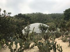 -深圳仙湖植物园