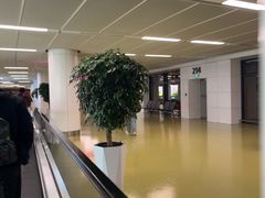 -郑州新郑国际机场-T2航站楼