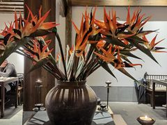 -鲤院·新中式美学·庭院餐厅(夫子庙店)