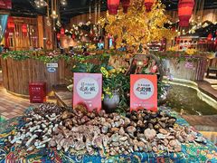 -老滇山寨•云南特色菜•地方菜•民族风情歌舞表演(金碧店)