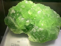 -湖南省地质博物馆