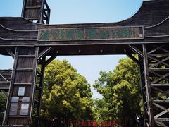 -溱湖国家湿地公园