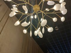 -ZING COFFEE 镜咖啡