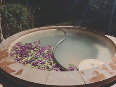 -天目湖涵田半山温泉