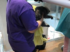 -Pets First伊珊娜洗护·精致美容·家庭式寄养(新会路店)