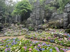 -梭布垭石林景区