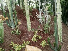 -南通洲际绿博园