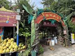 -瑞丽独树成林风景区