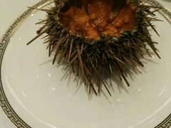 -渔公码头·九龙湾国际饭店