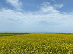 -青海湖国家重点风景名胜区
