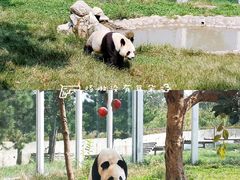 -西安秦岭野生动物园