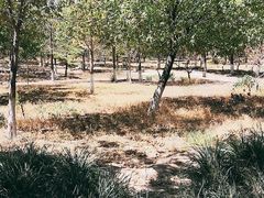 -绿堤公园