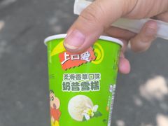 -赵一鸣零食(江苏南京福园街店)