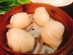 -添运来(茶园奥园广场店)