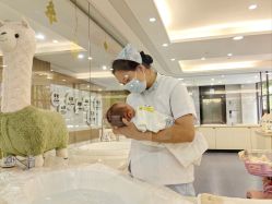 -宝生月子中心·独栋独院式(南山店)