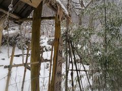 -终南山国家森林公园