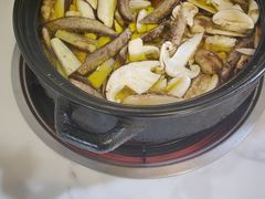 -蘑统田下·野生菌火锅