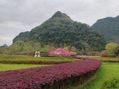 -靖西鹅泉风景区
