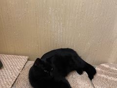 -萤火虫咖啡(后海店)