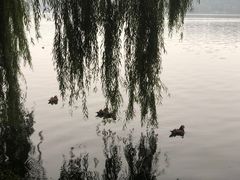 -苏堤停车场