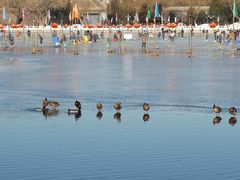 景点-什刹海-后海