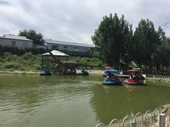 -北京鹿世界主题园