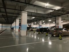 -上海海昌海洋公园-停车场