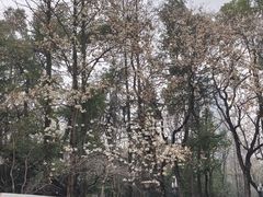 -南京时尚莱迪购物广场(正洪街店)