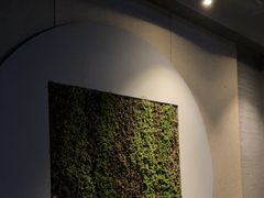 -上足·影院足道·SPA(红岭店)