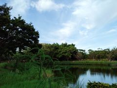 -福田红树林生态公园