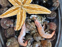 -宾朋海鲜特色美食餐厅·纯手工鲅鱼水饺(兴海路店)