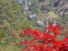 -黄山风景区