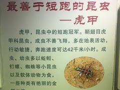-上海昆虫博物馆