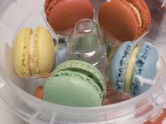 -美点饼业(新阳店)