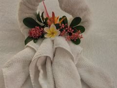 -三亚海棠湾喜来登度假酒店