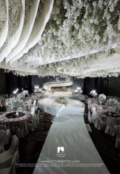 -琥珀婚礼策划AMBER WEDDING