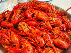 -海岛八号龙虾烧烤田鸡(蓝天路总店)