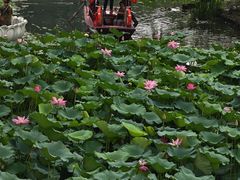 -皇家御河游(紫御湾码头)