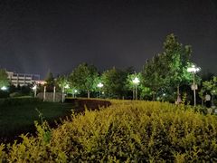 -滨河世纪广场公园