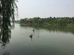 怡沁园度假村-上海怡沁园度假酒店