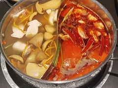 -季季山·云南野生菌火锅(上海首店)